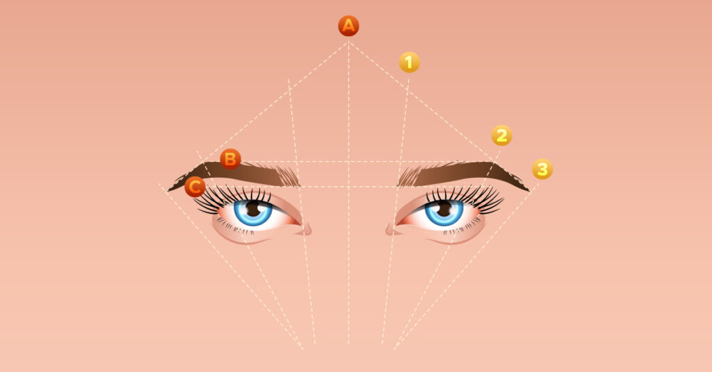 Eyebrow
